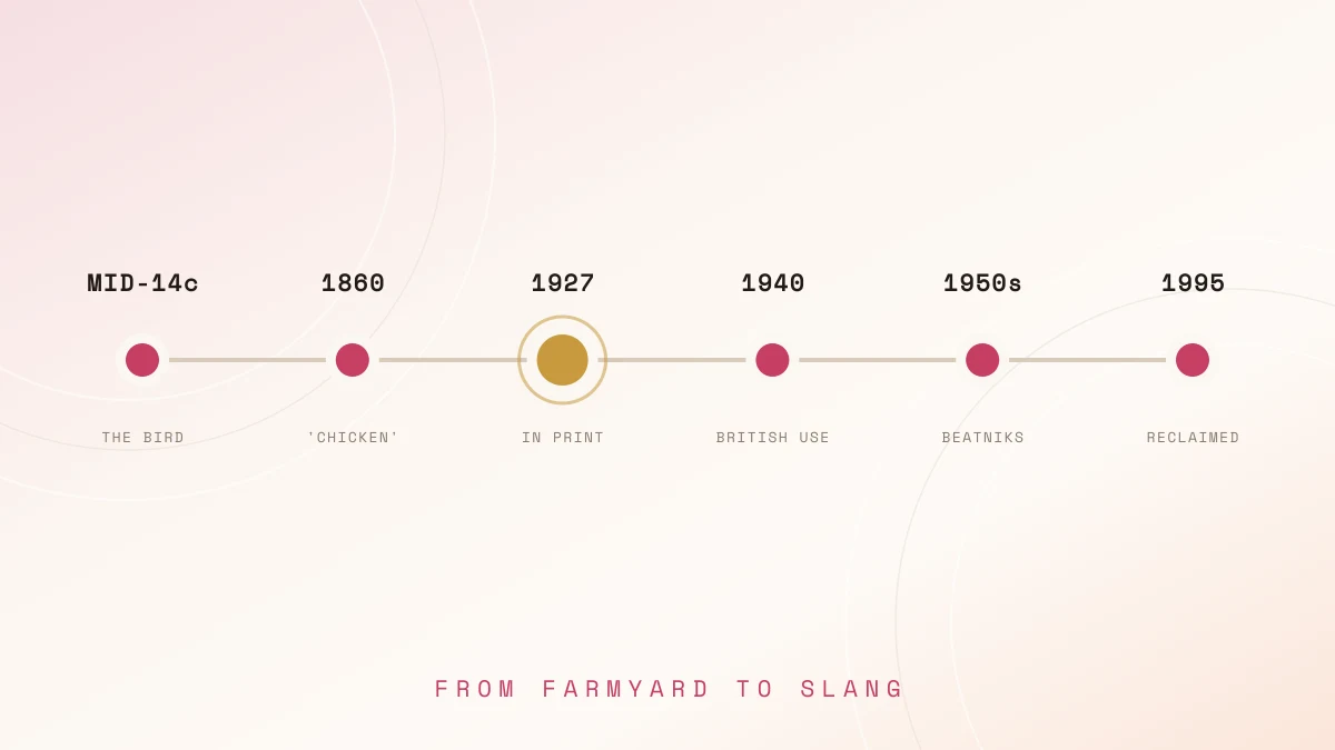 Six milestones in the history of the word chick, from the mid-14th century to 1995, with 1927 highlighted